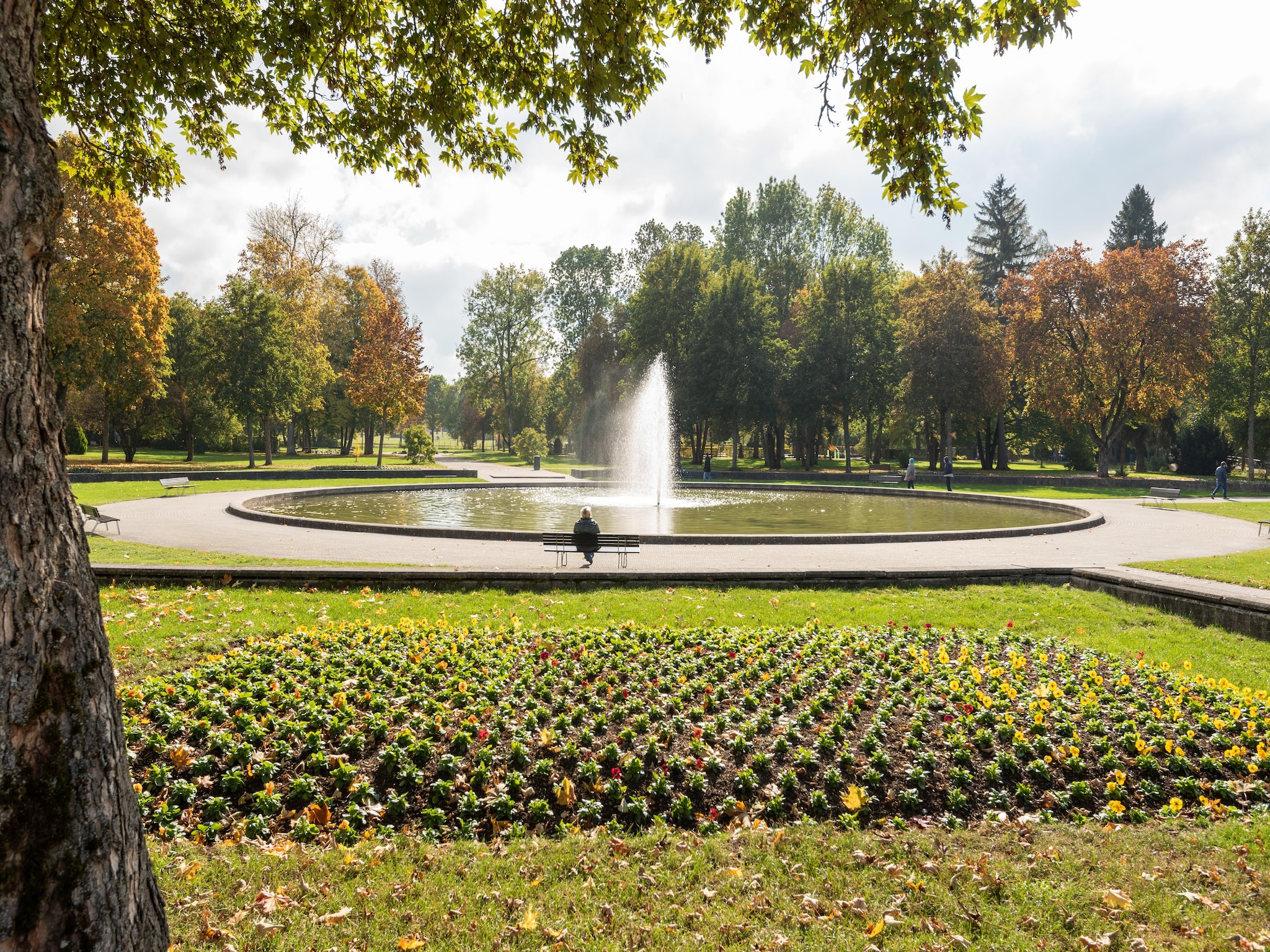 Ferienwohnung Park Blick