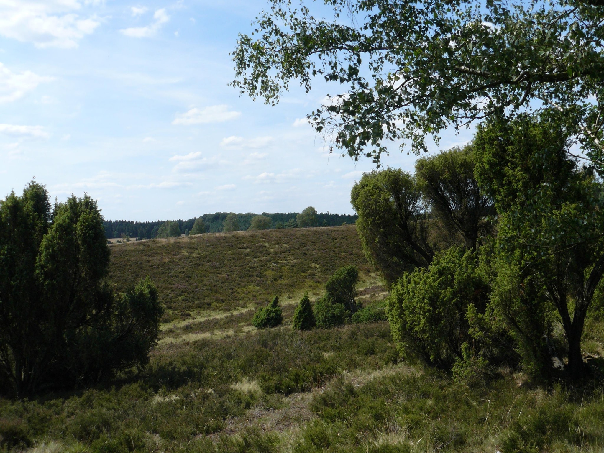   Ericaheidepark