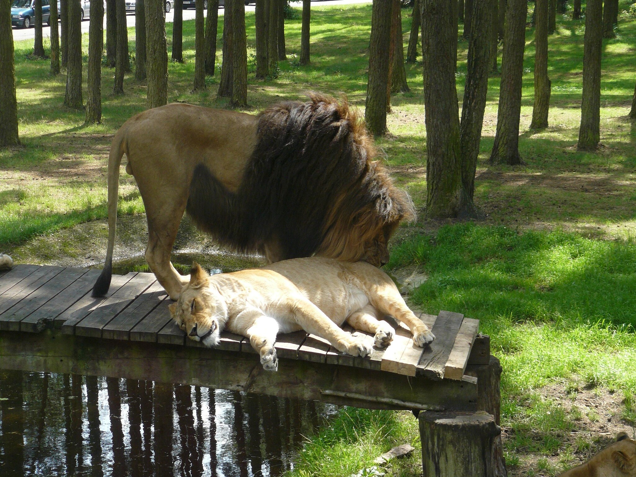   Ericaheidepark