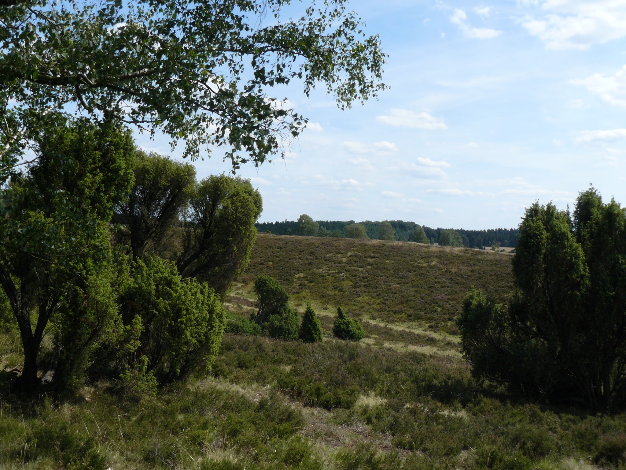   Ericaheidepark