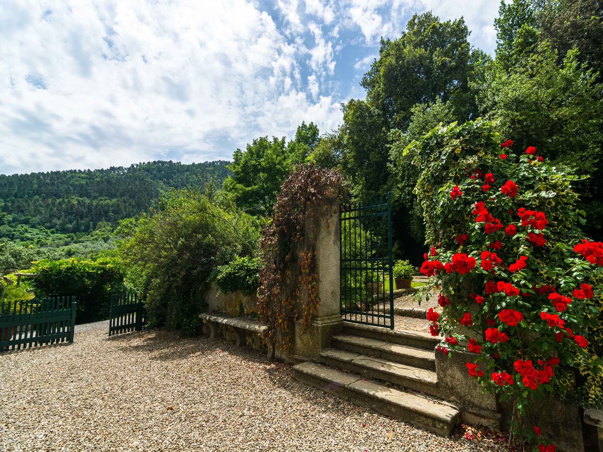 Dom Casa La Ruota