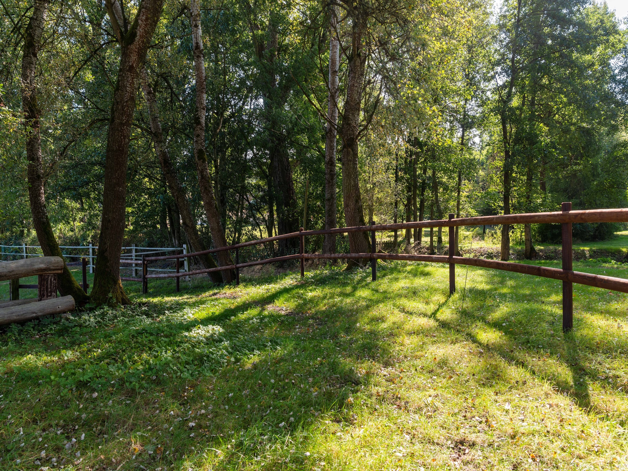   Lüneburger Heide