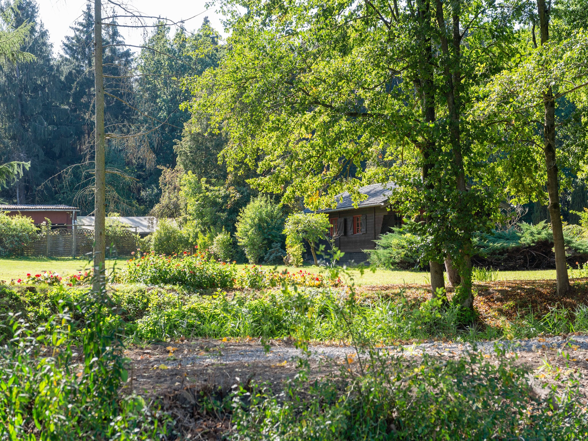   Lüneburger Heide