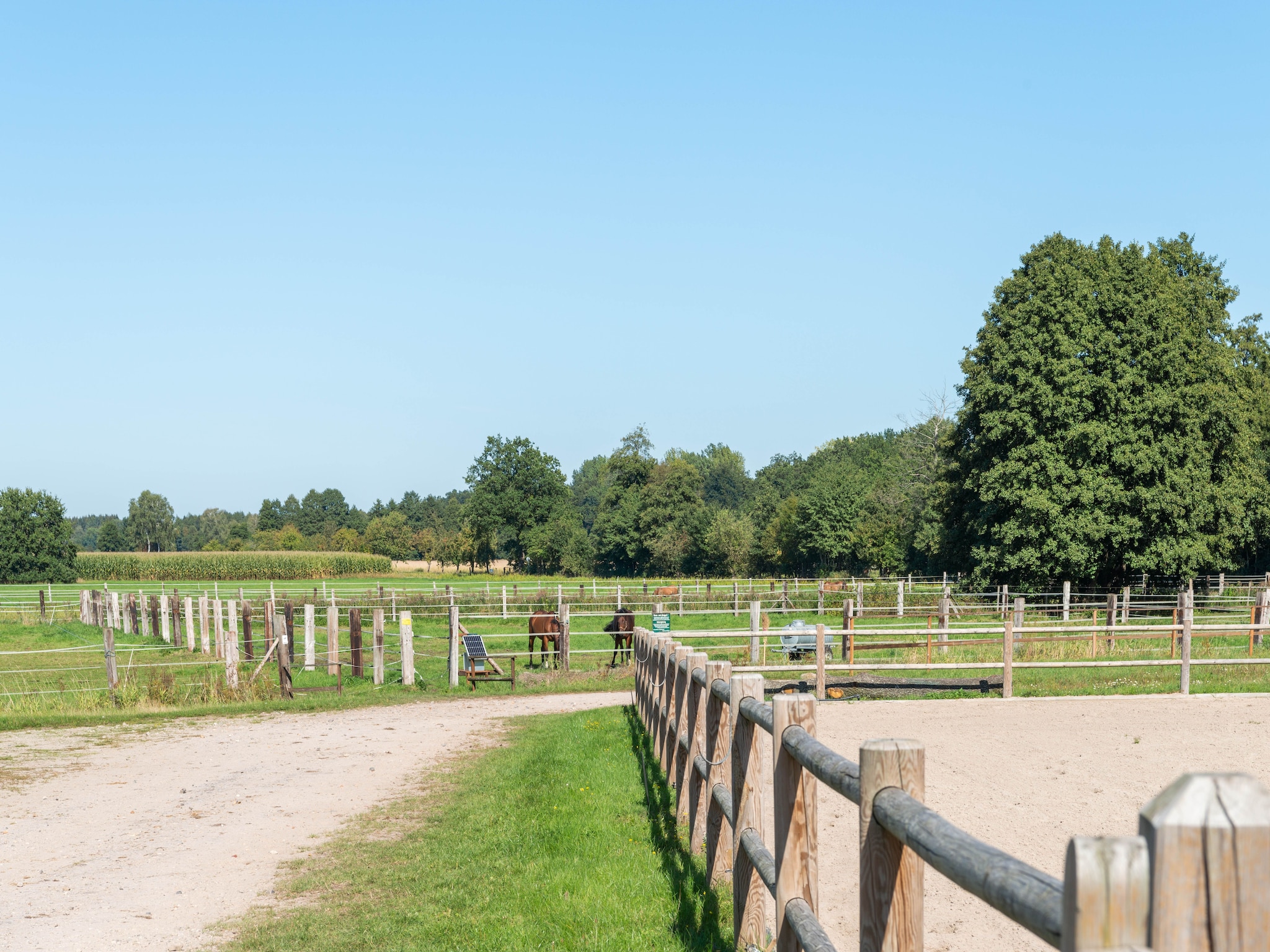   Lüneburger Heide
