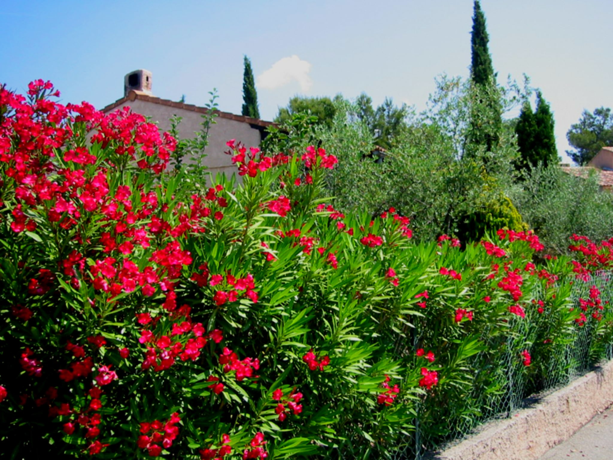 Ferienhaus Villa Cigalières