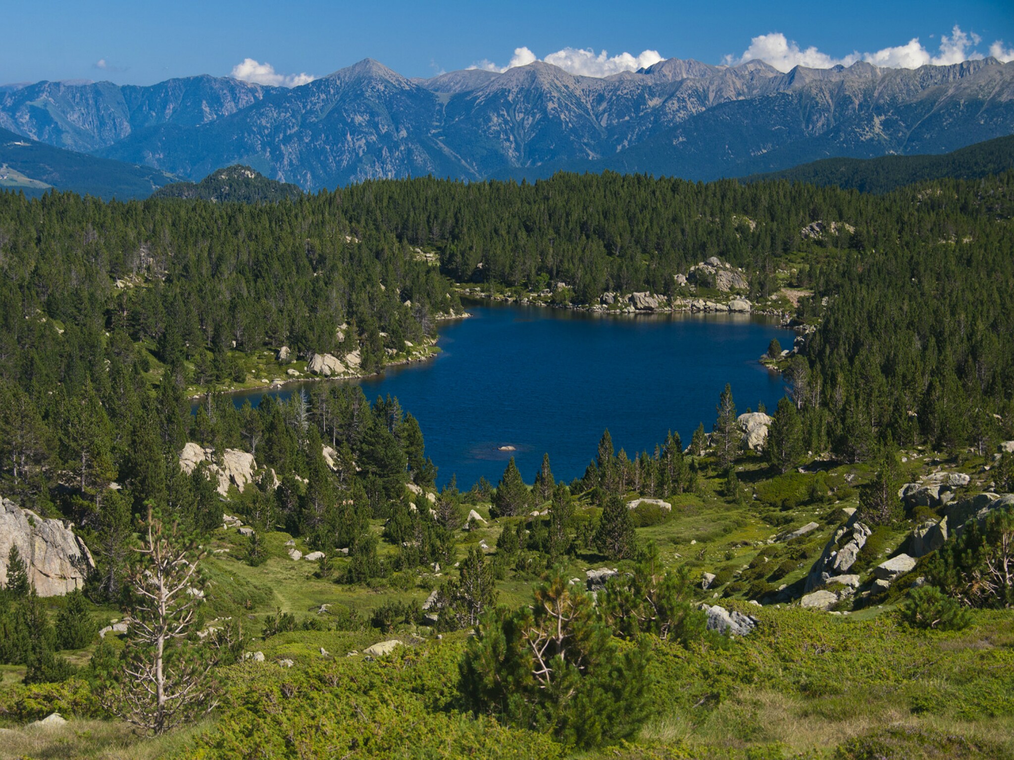   Chalet Panoramique