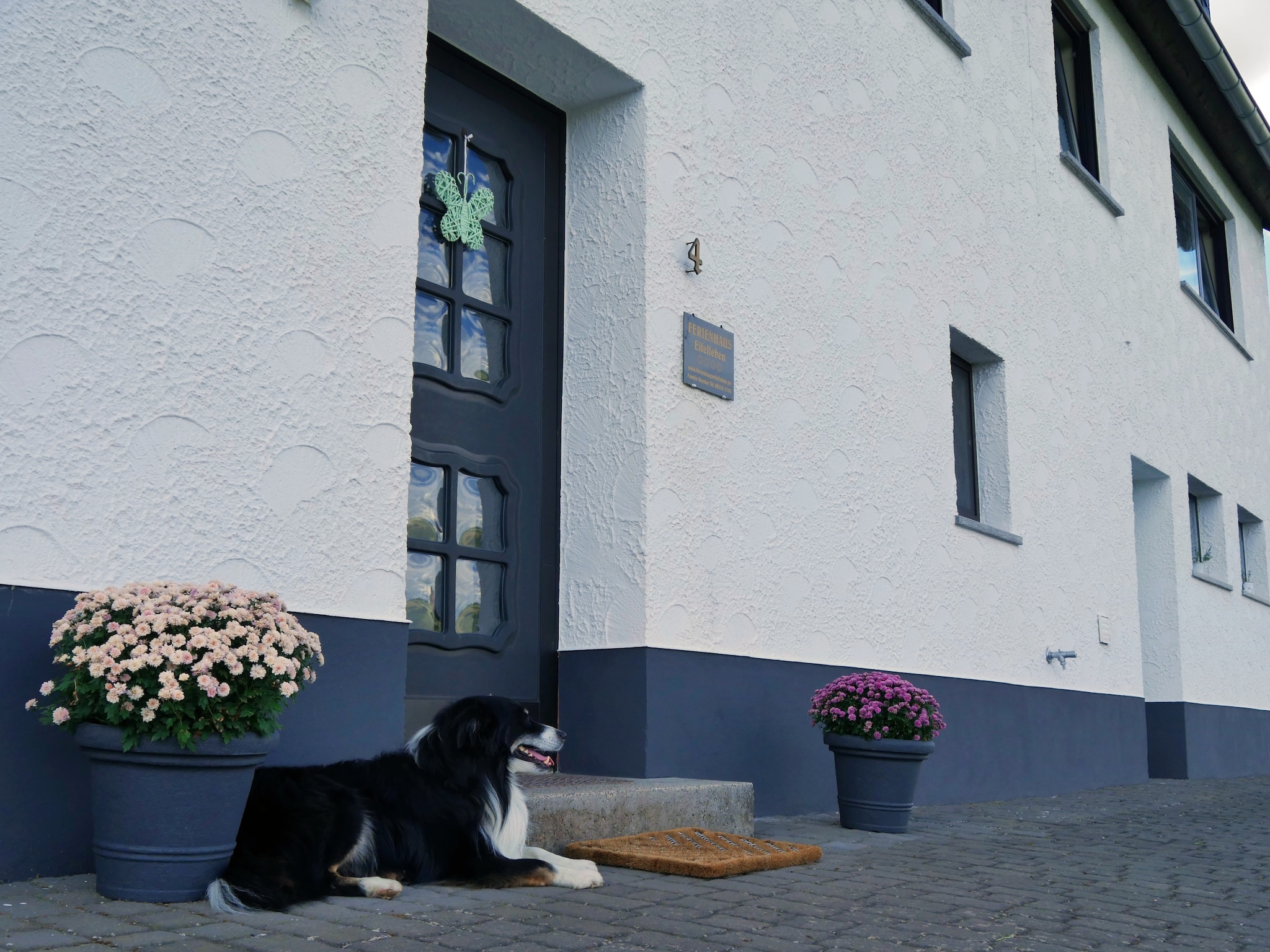   Eifelhome