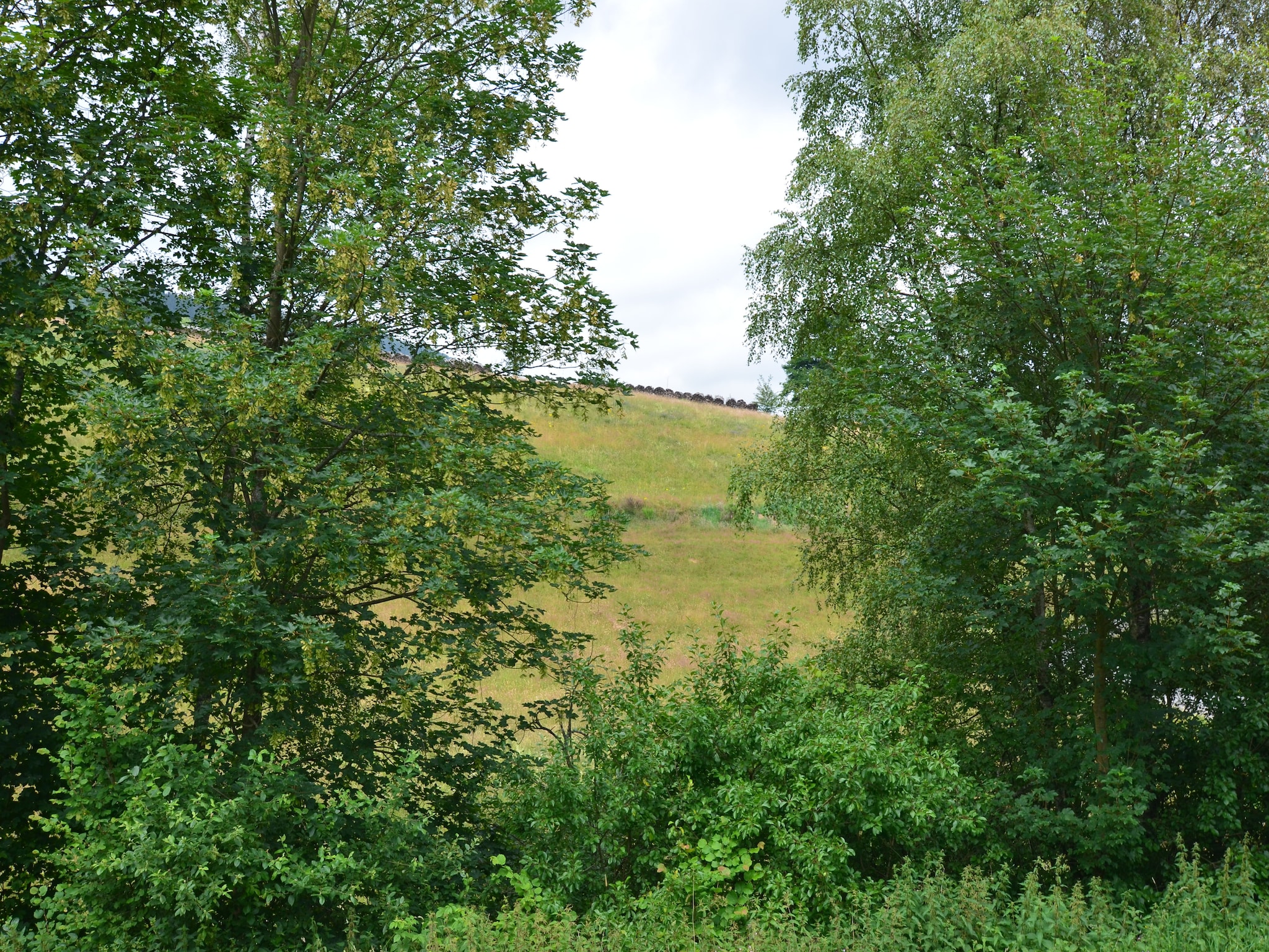 Ferienwohnung Im Ries I