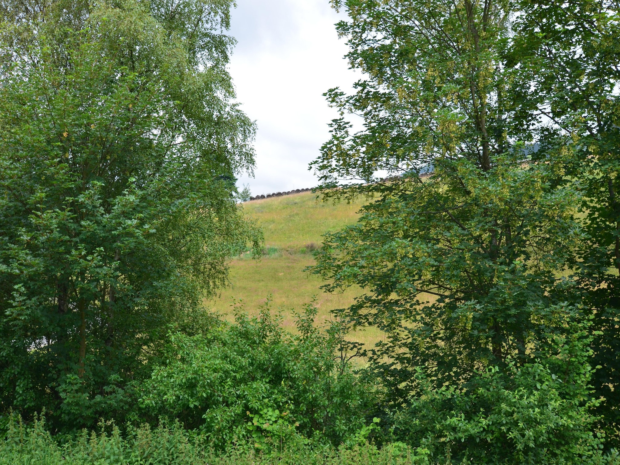 Ferienwohnung Im Ries I