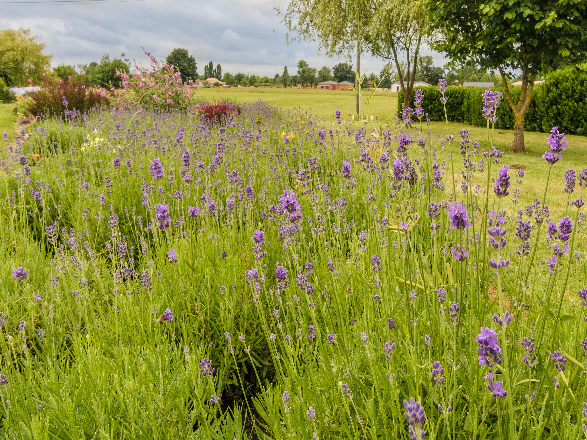   Domaine le Perrot