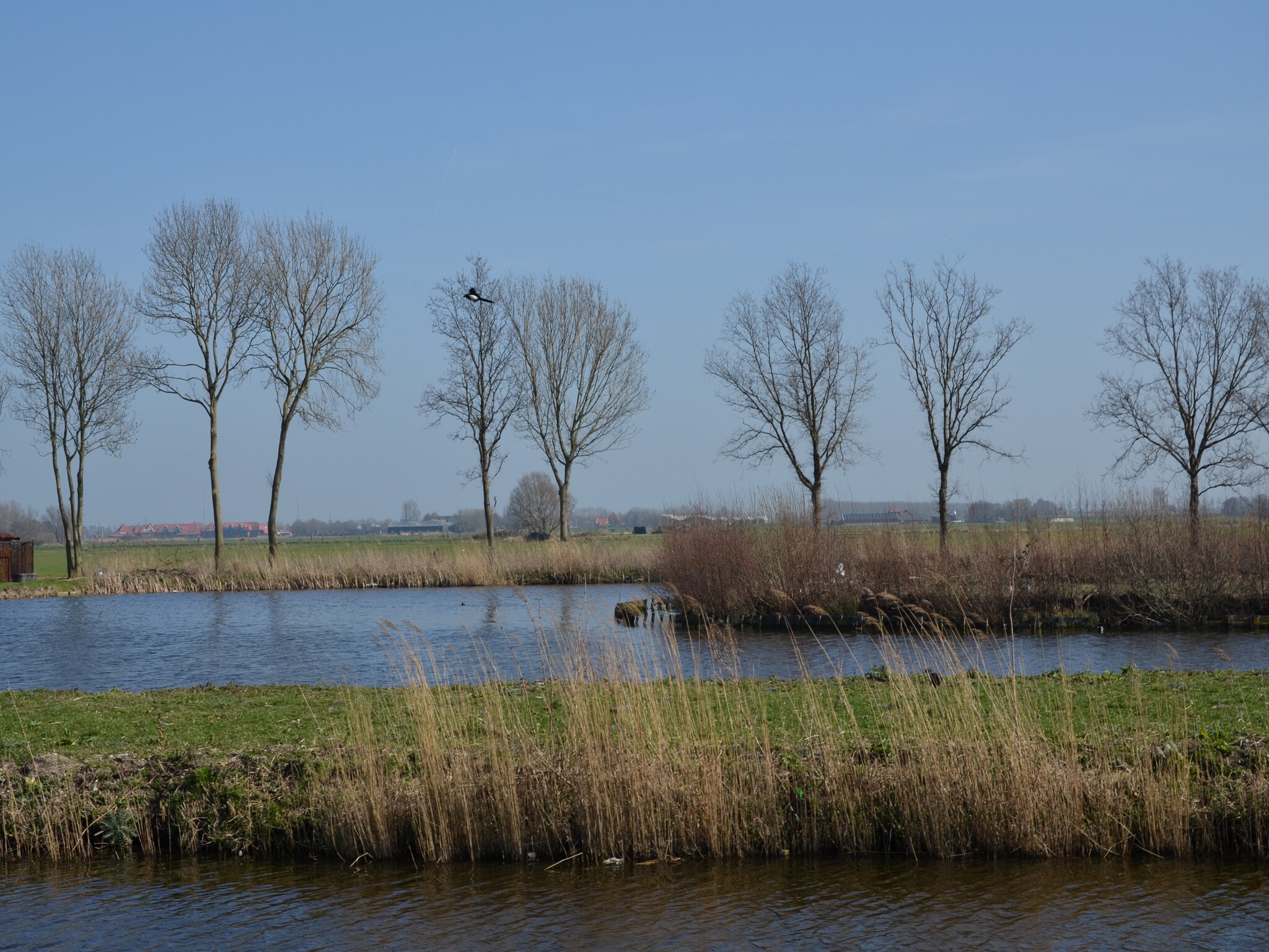 Feriebolig Villapark de Rijp