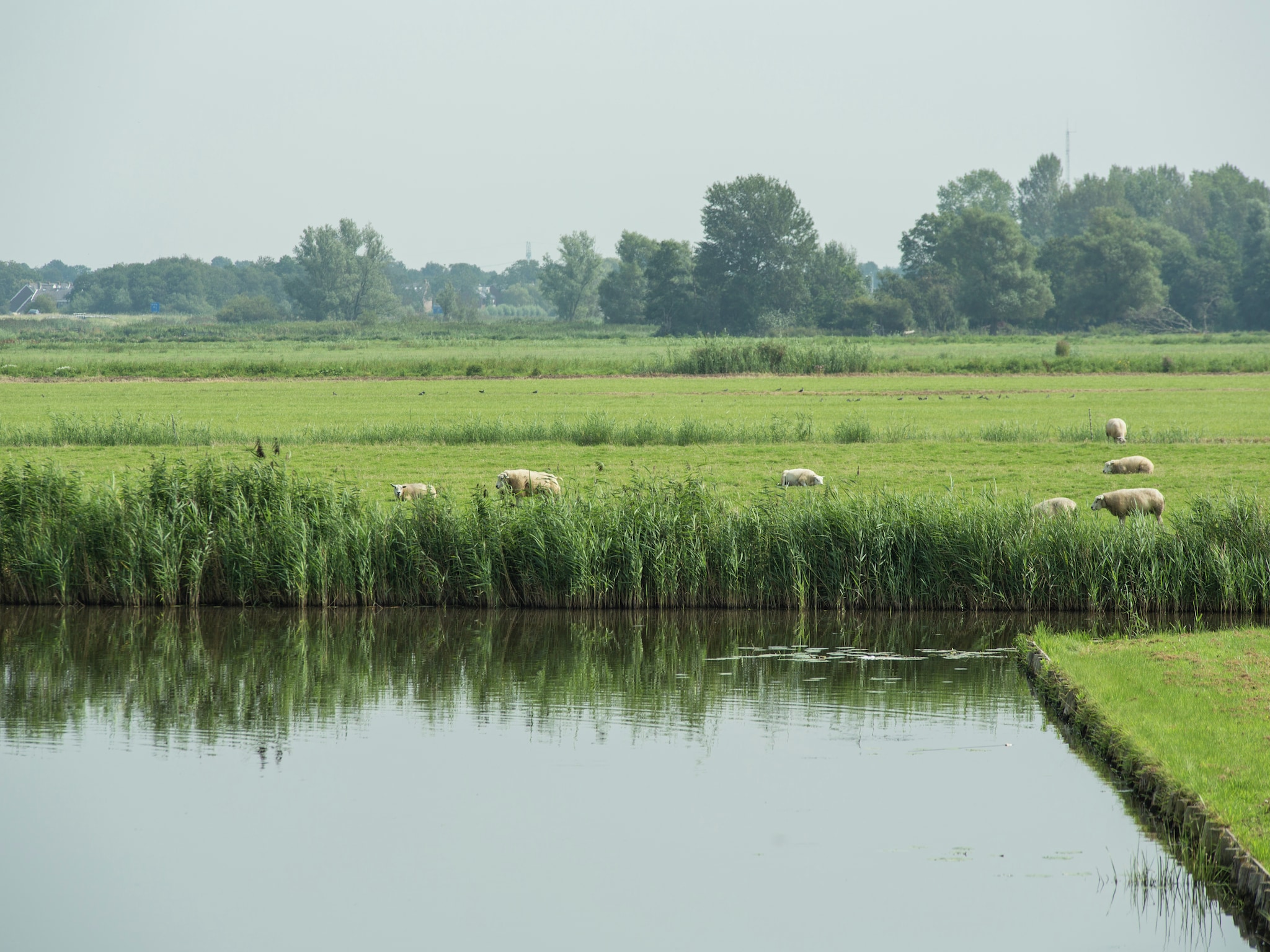 Feriebolig Villapark de Rijp