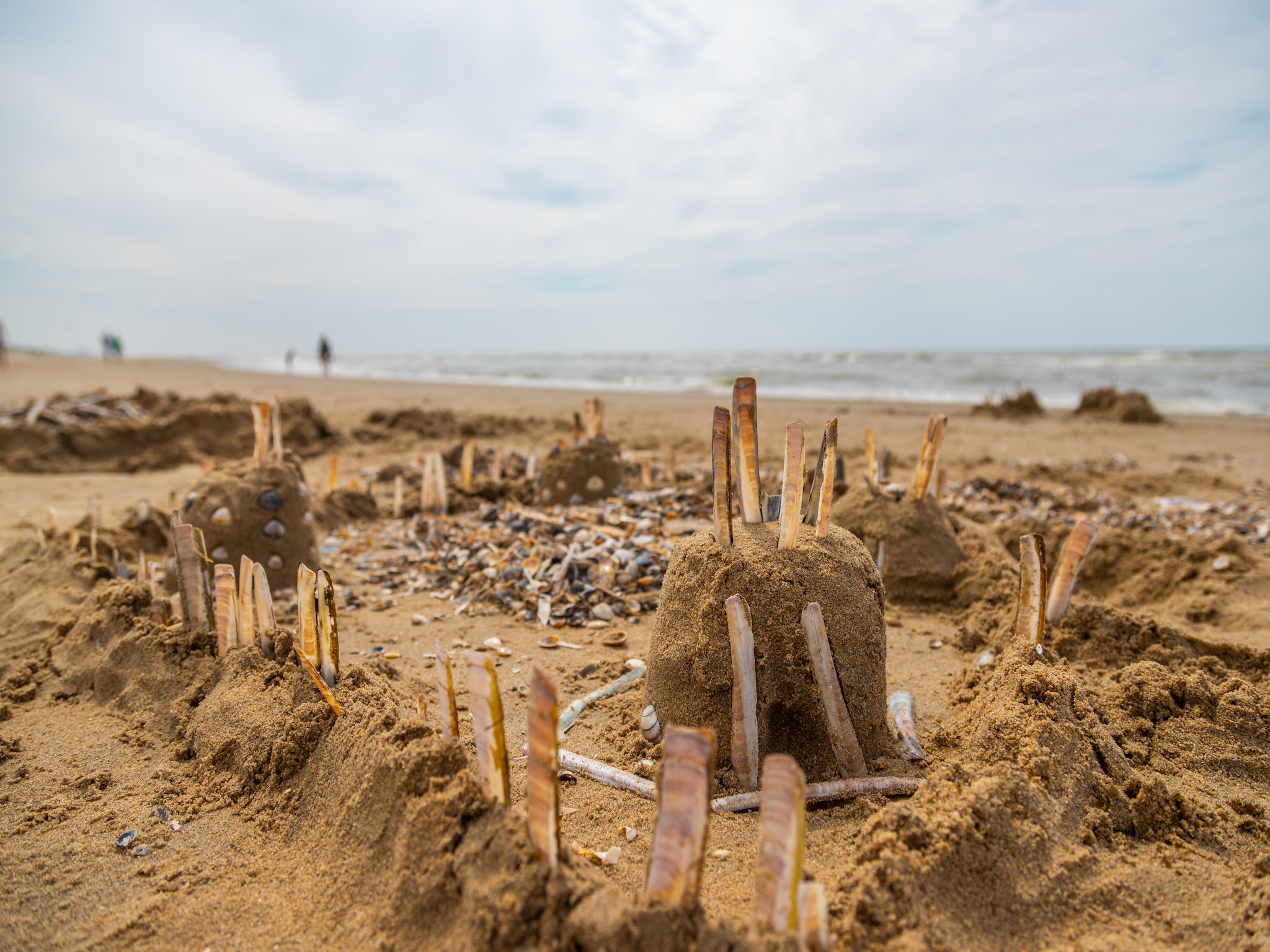 Vakantiehuis Noordwijkse Duinen 11