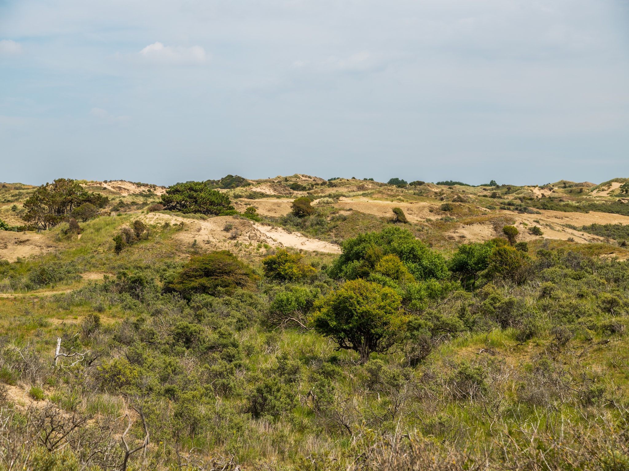 Vakantiehuis Noordwijkse Duinen 11