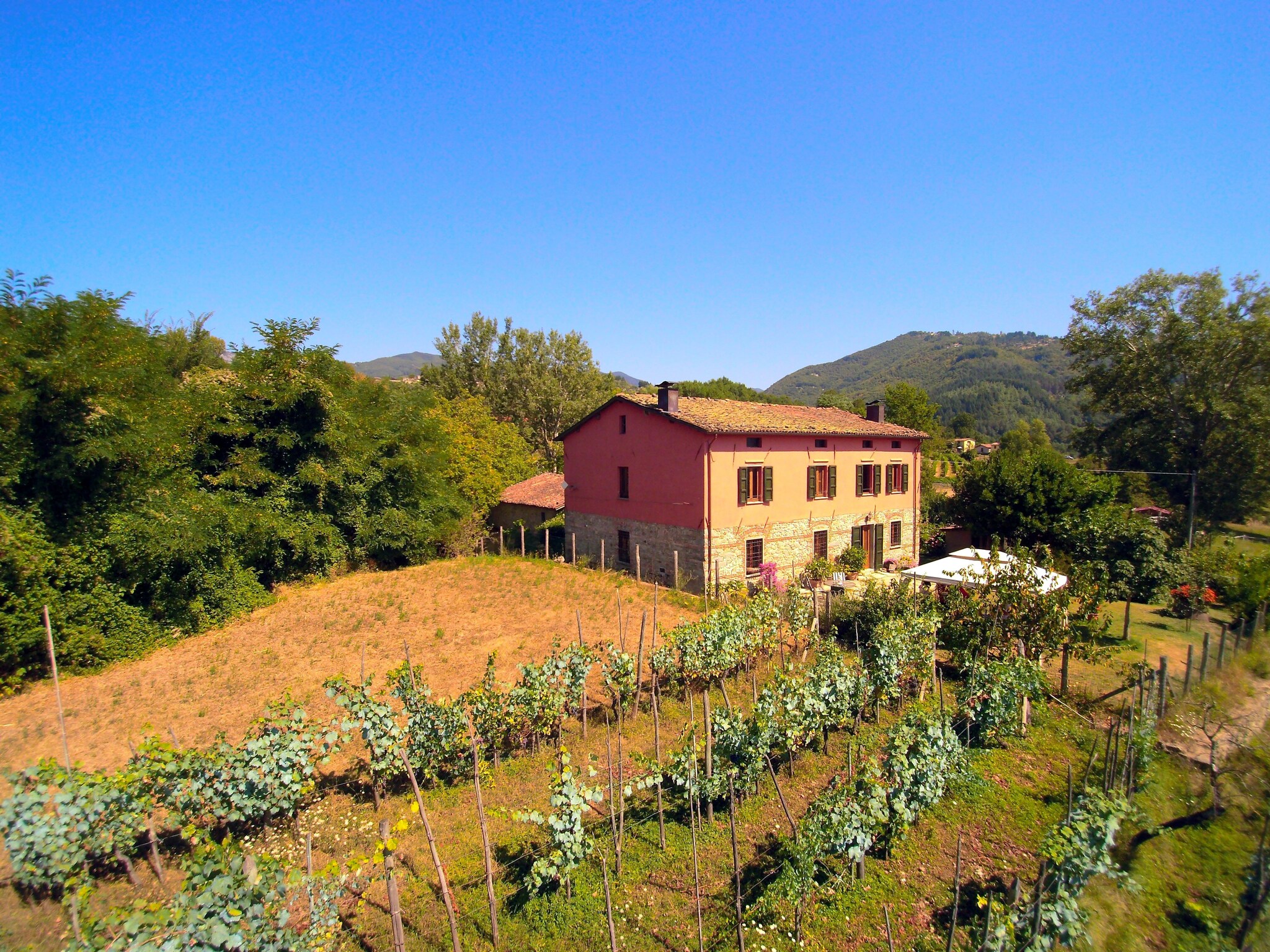   Casale Liana Dodici
