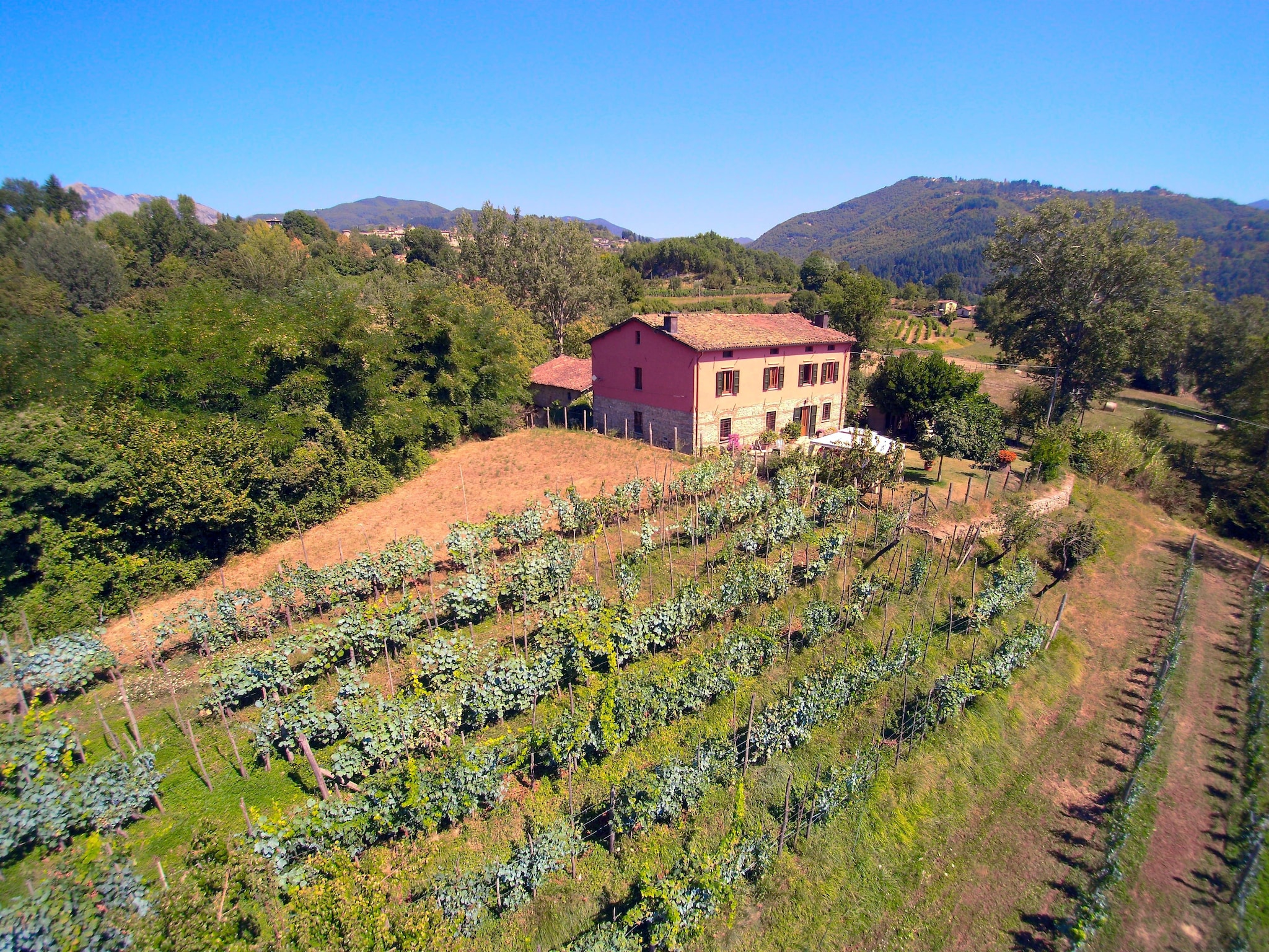   Casale Liana Dodici