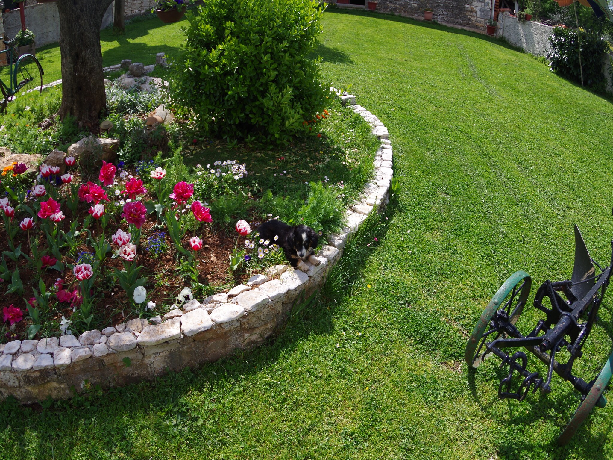 Appartement Slavica I