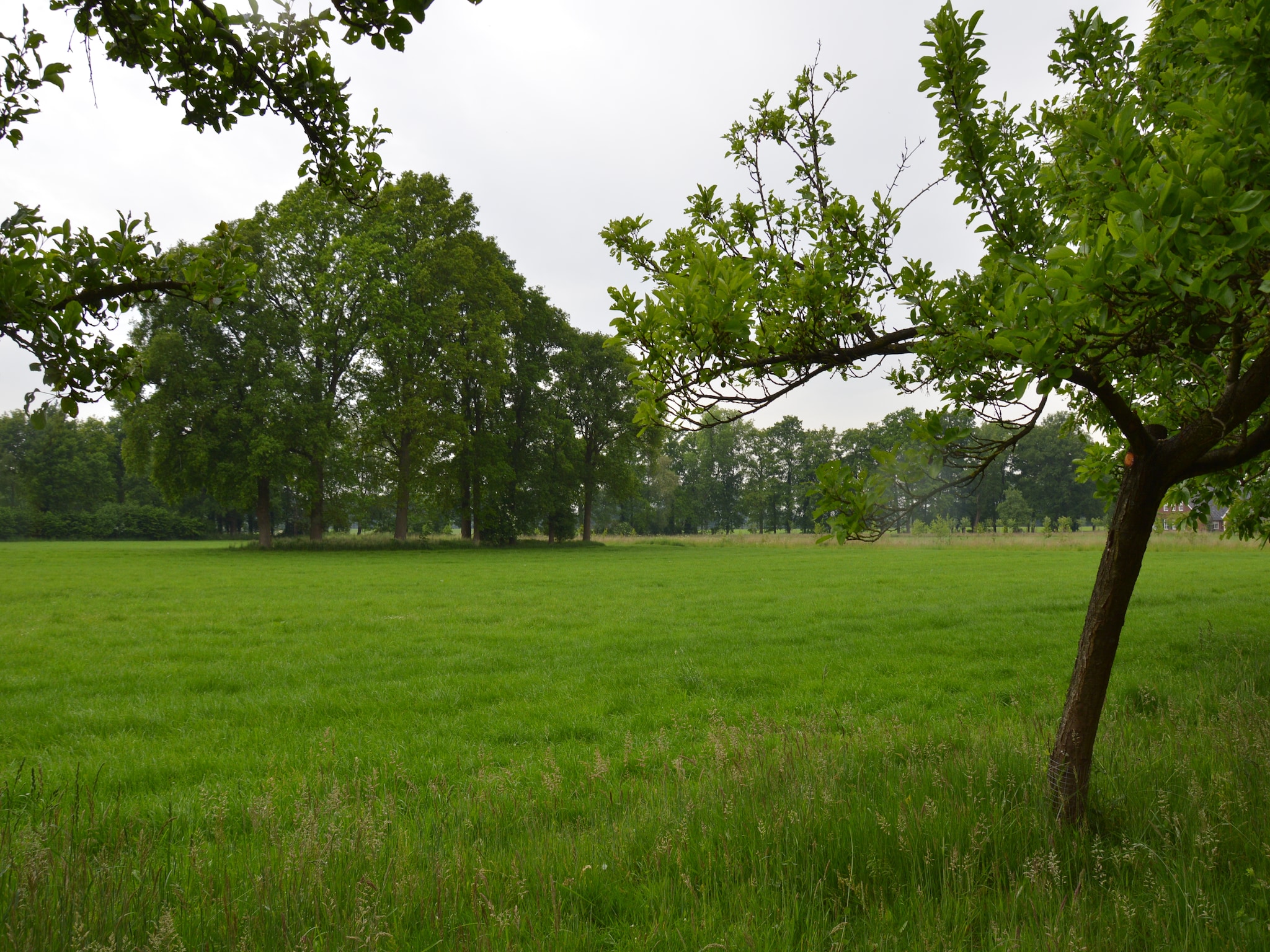   Huus in 't Hagt