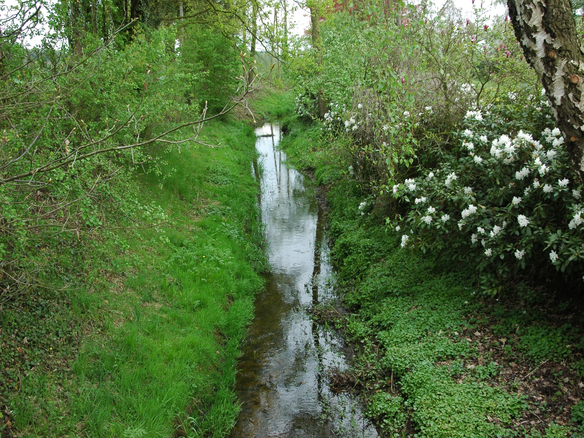   Huus in 't Hagt