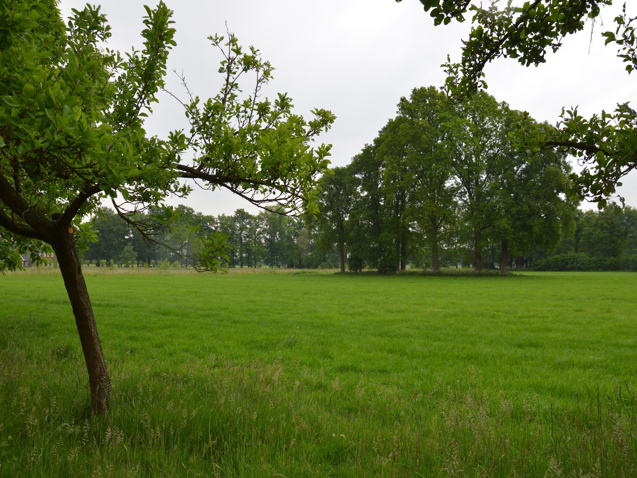   Huus in 't Hagt