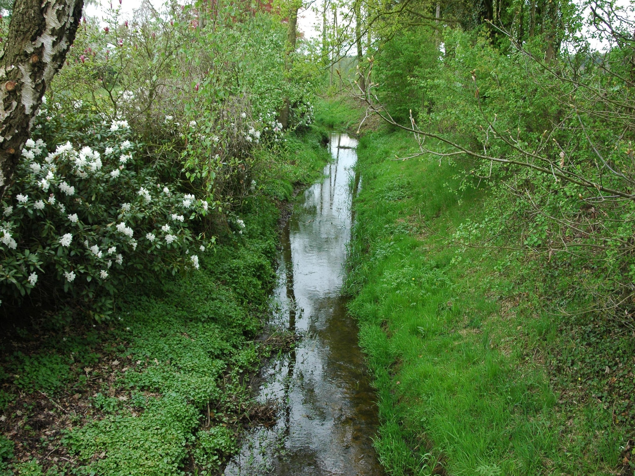   Huus in 't Hagt