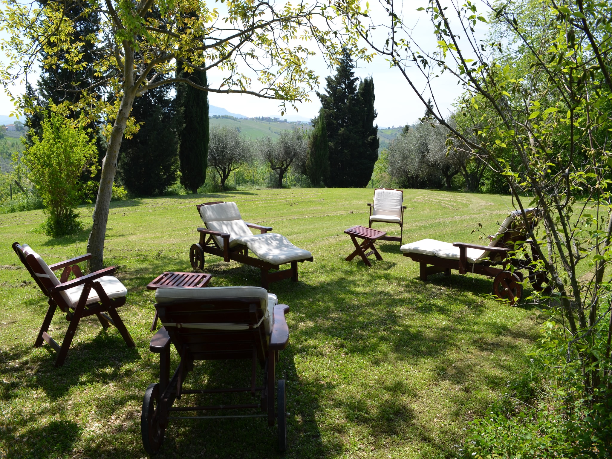   Villa degli Ulivi
