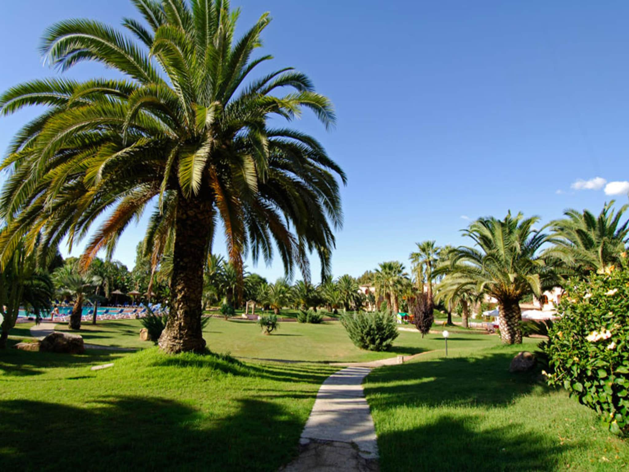 Apartment Baia Palme bilo 4