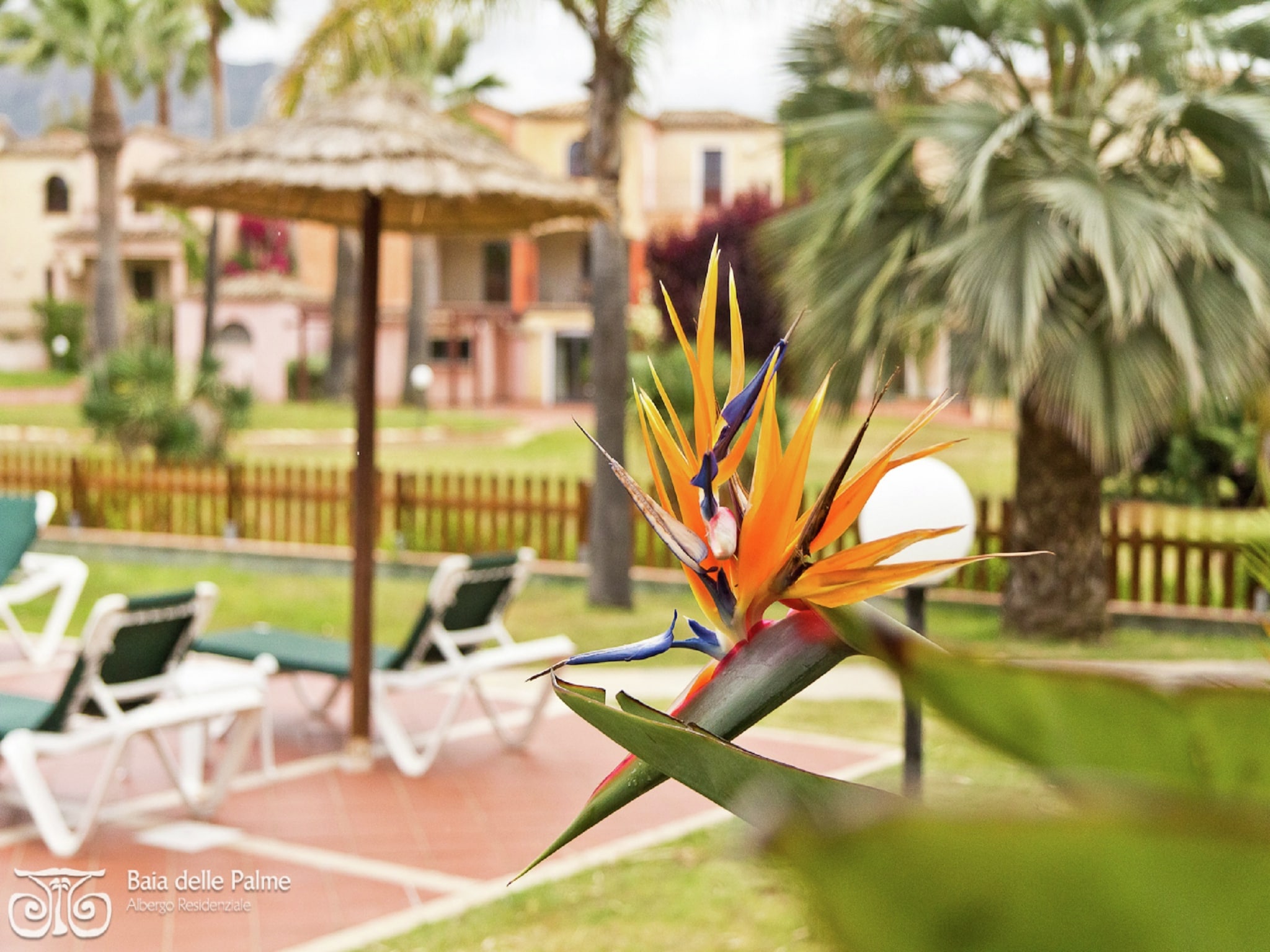 Apartment Baia Palme bilo 4