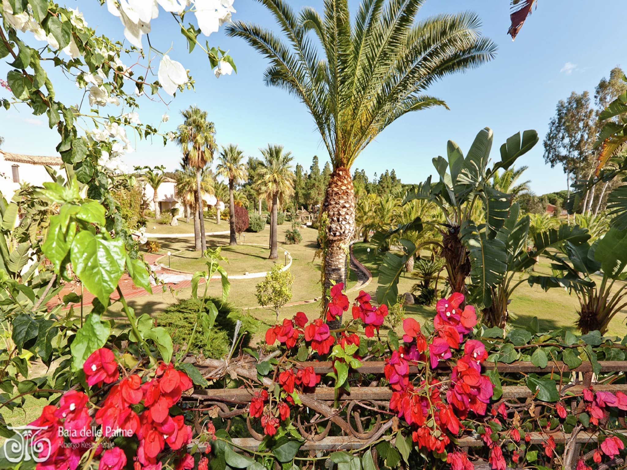 Apartment Baia Palme bilo 4