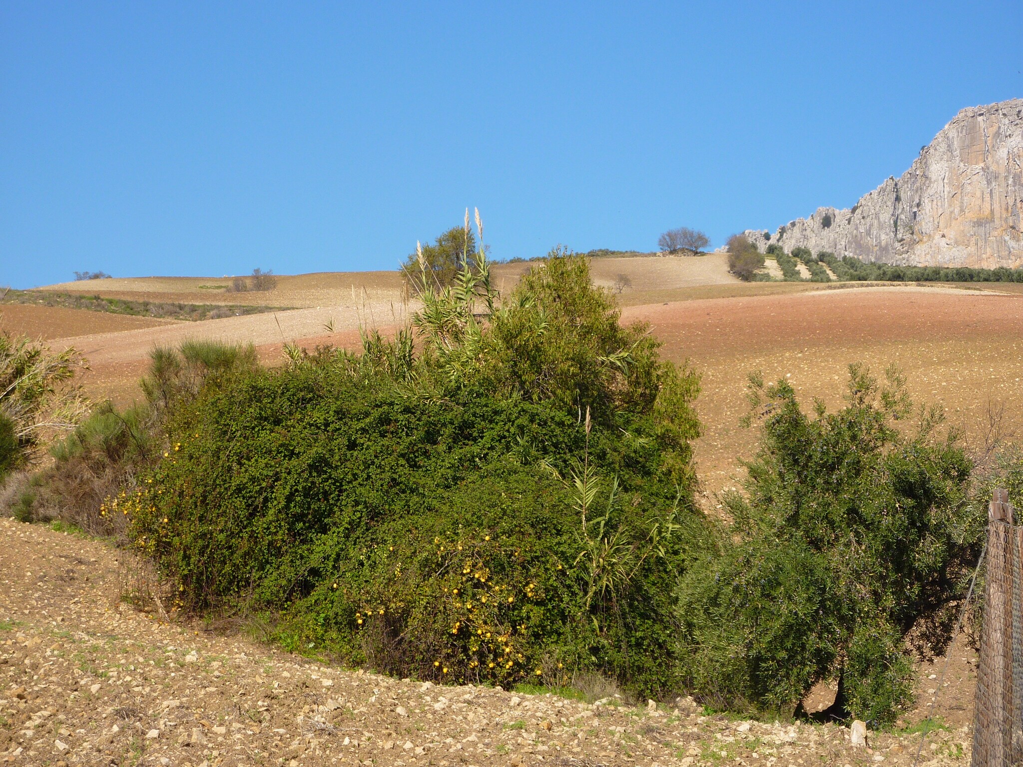 Casa de vacaciones El Trigal
