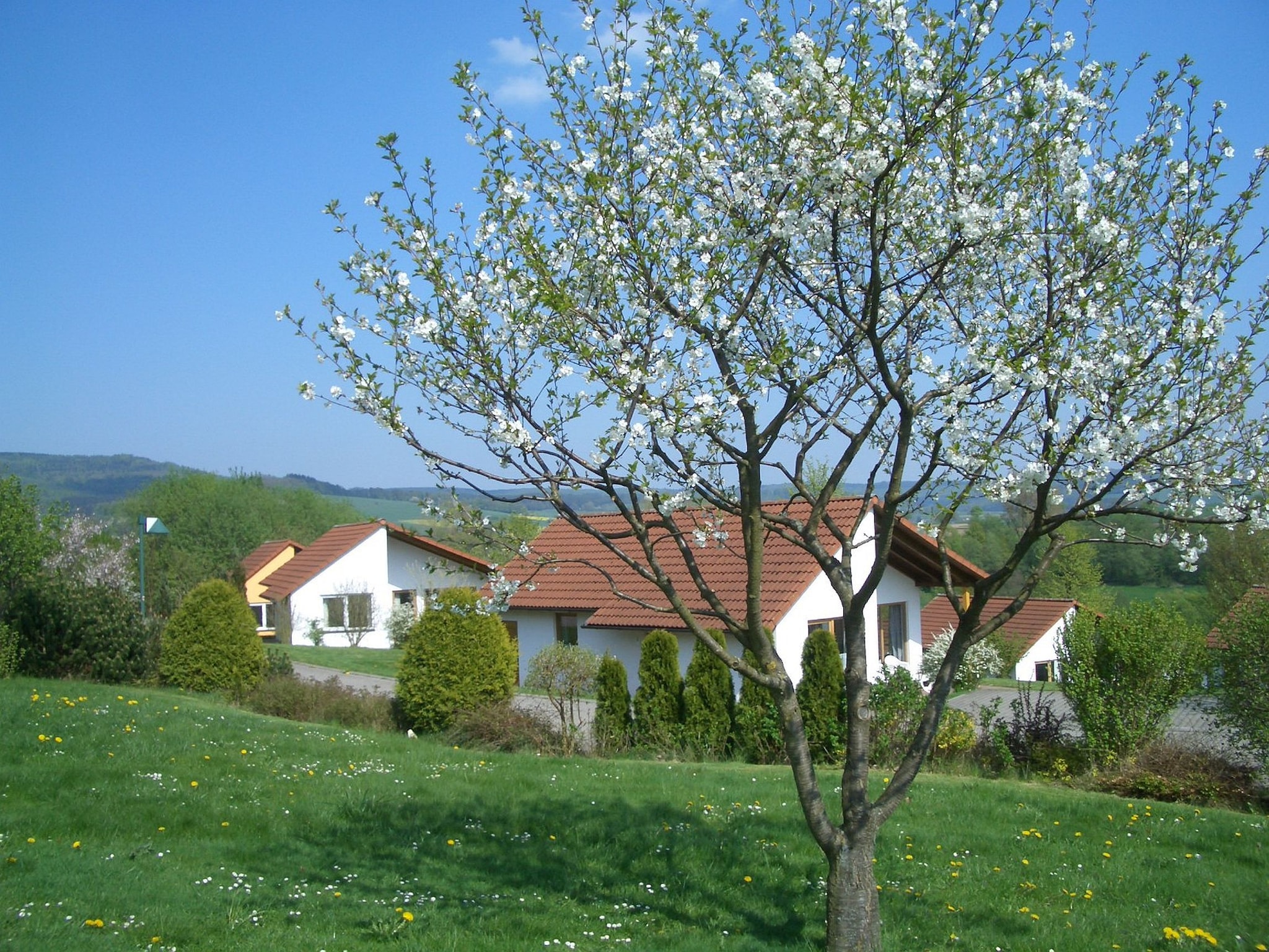   Feriendorf Uslar 2