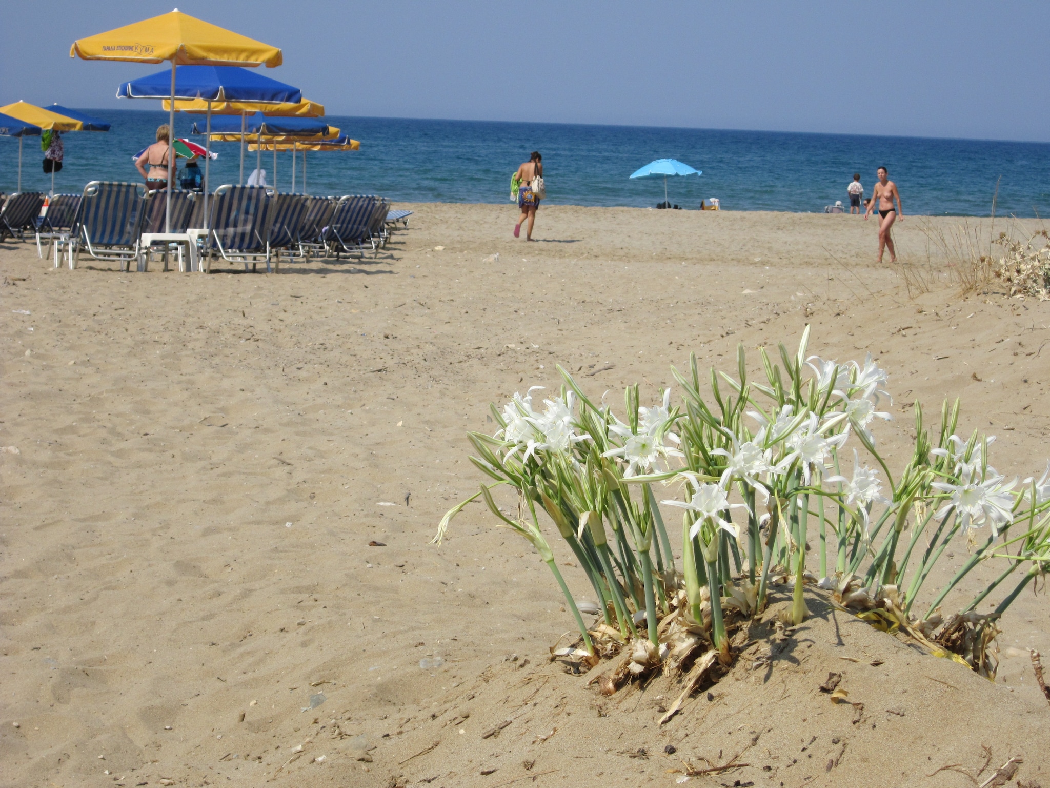 Casa di vacanze Villa Cocoon