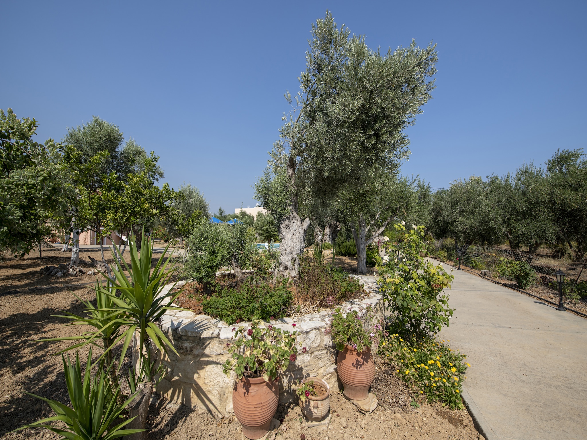   Villa Estia