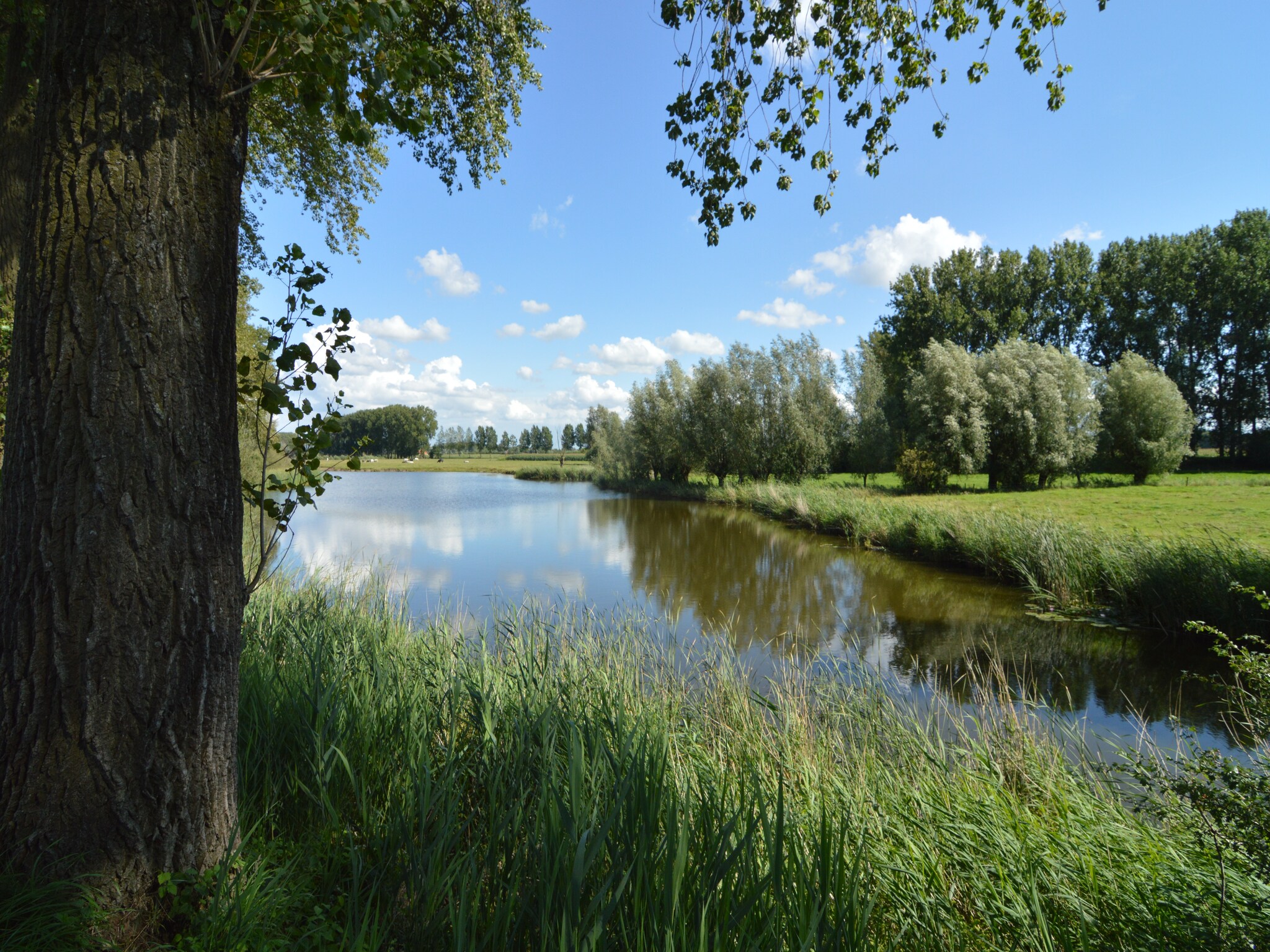 Ferienhaus De Zonnebrug