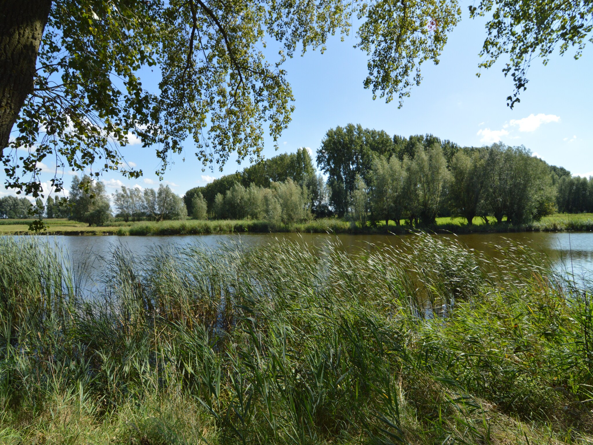 Ferienhaus De Zonnebrug
