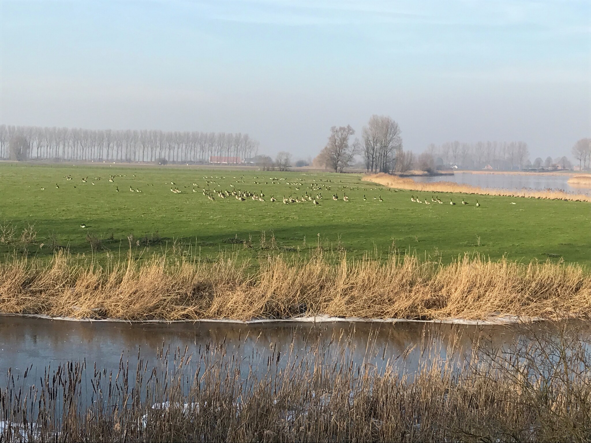 Ferienhaus De Zonnebrug
