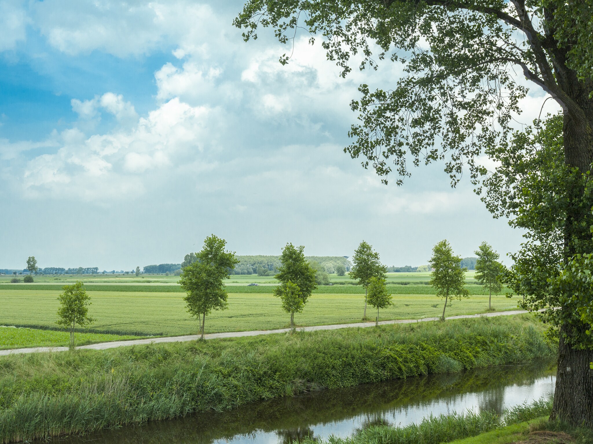 Ferienhaus De Zonnebrug
