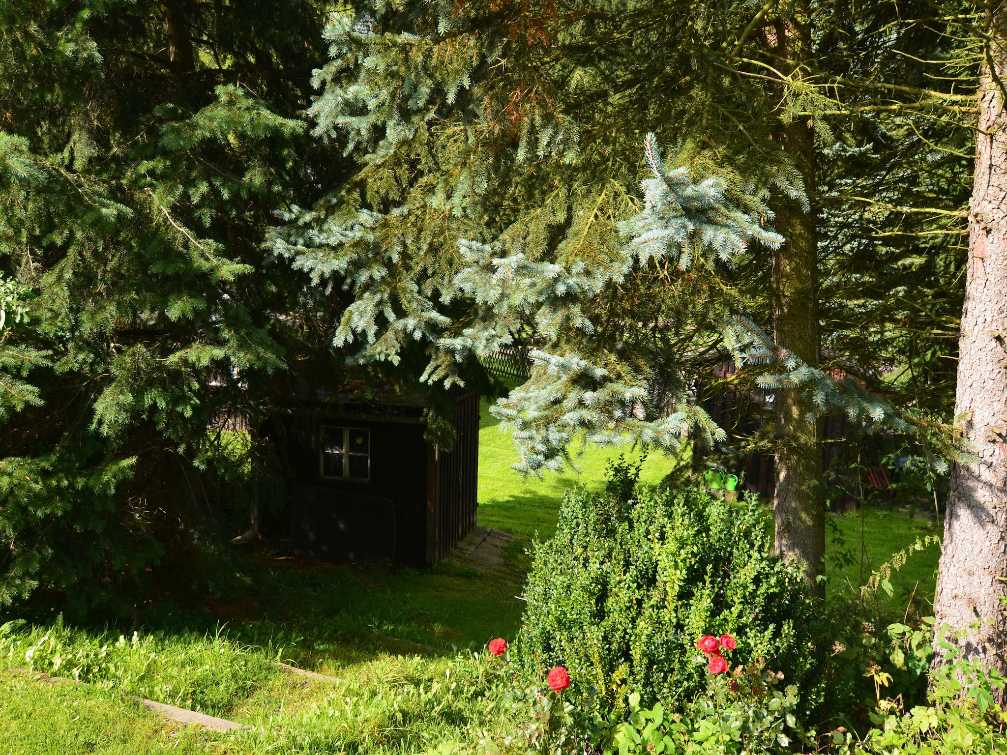 Apartment Ferienwohnung an der Talsperre Rauschenbach