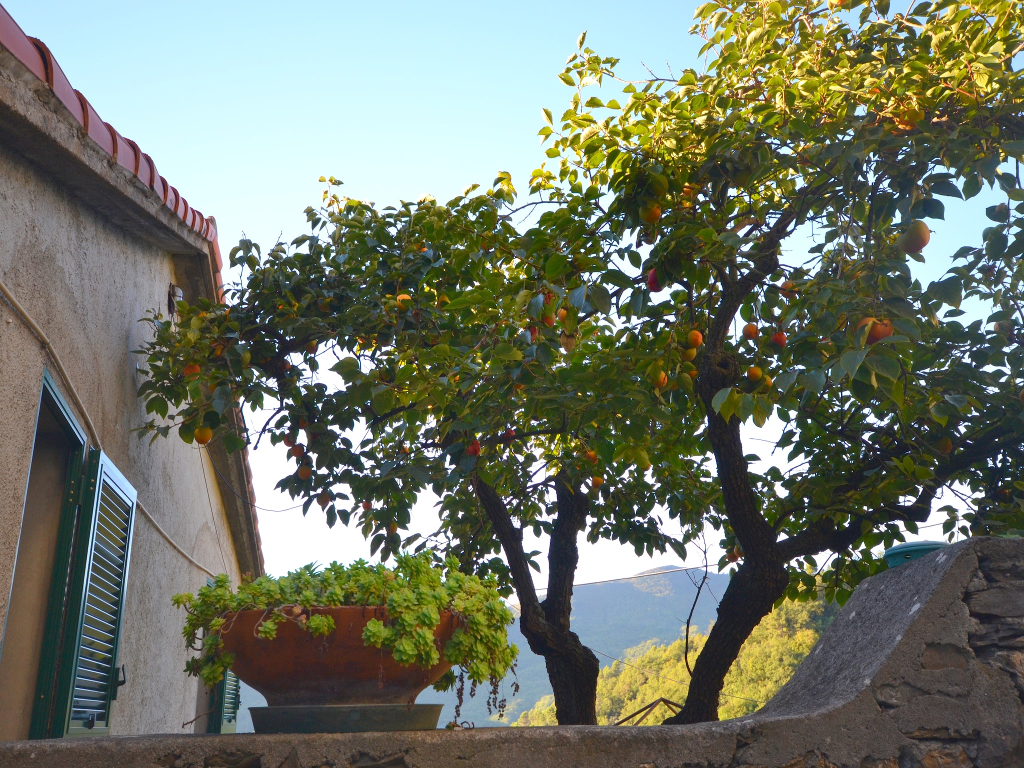  Casa del Pastore