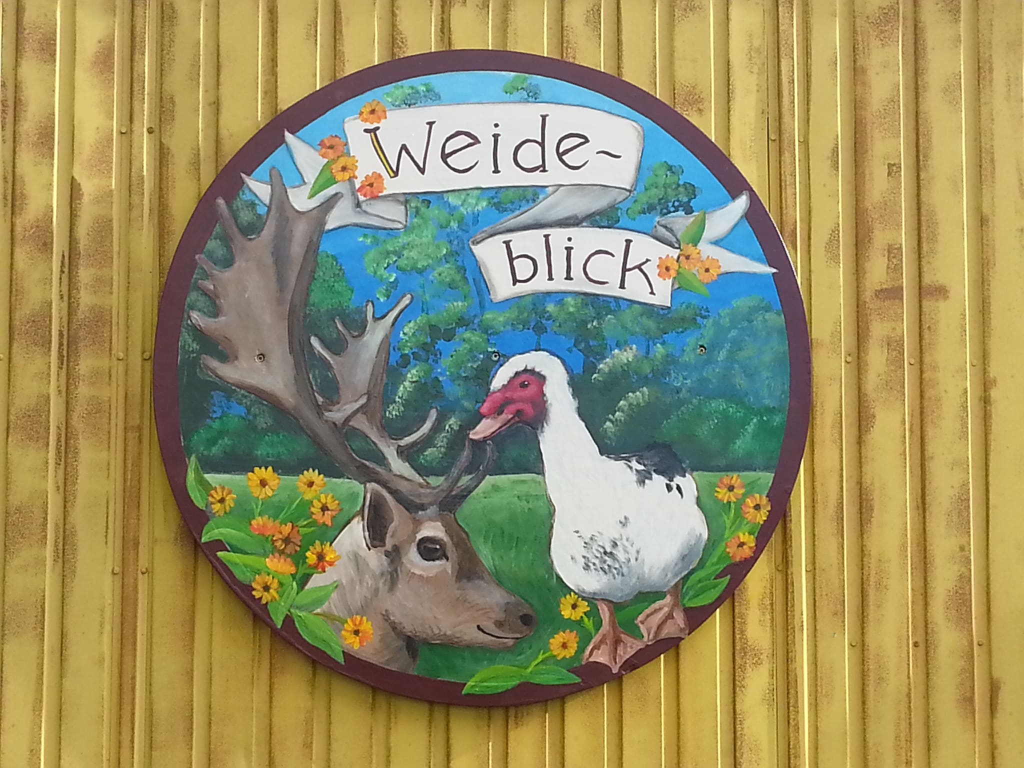   Pipowagen de Weideblick