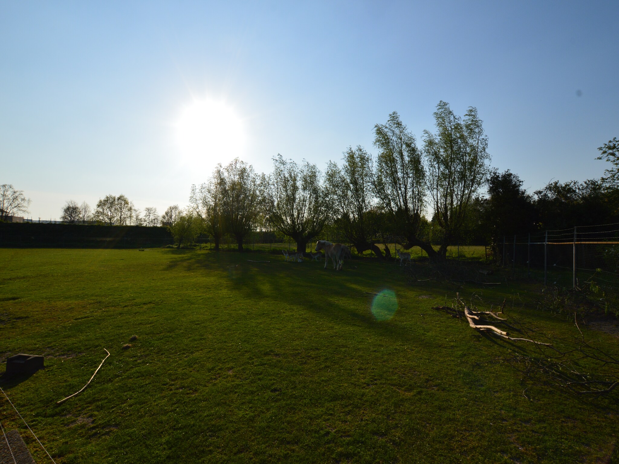   Pipowagen de Weideblick
