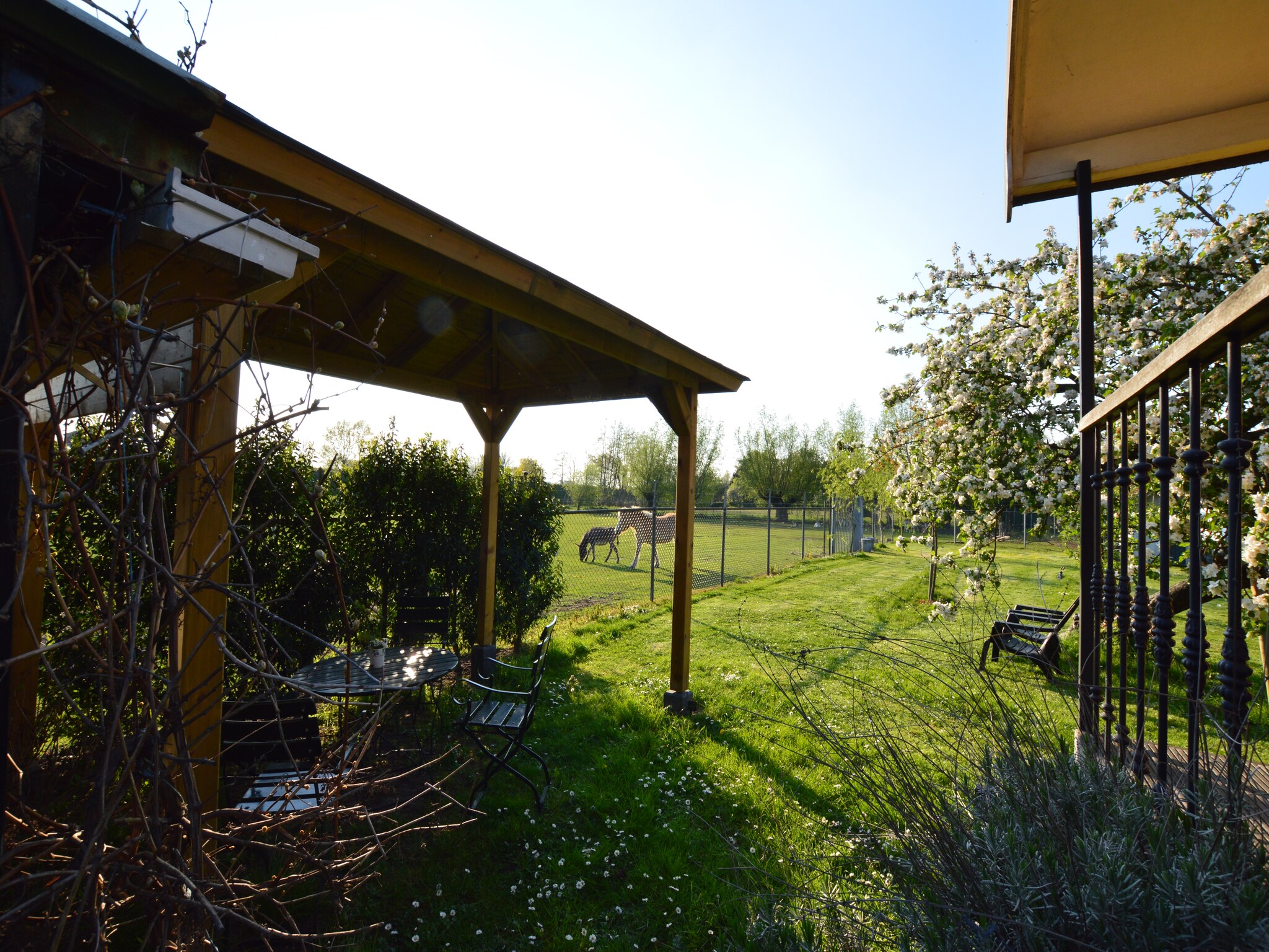   Pipowagen de Weideblick