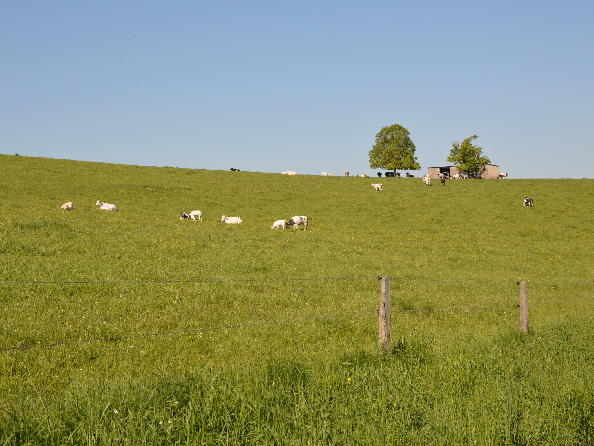   La Grange de Lesse