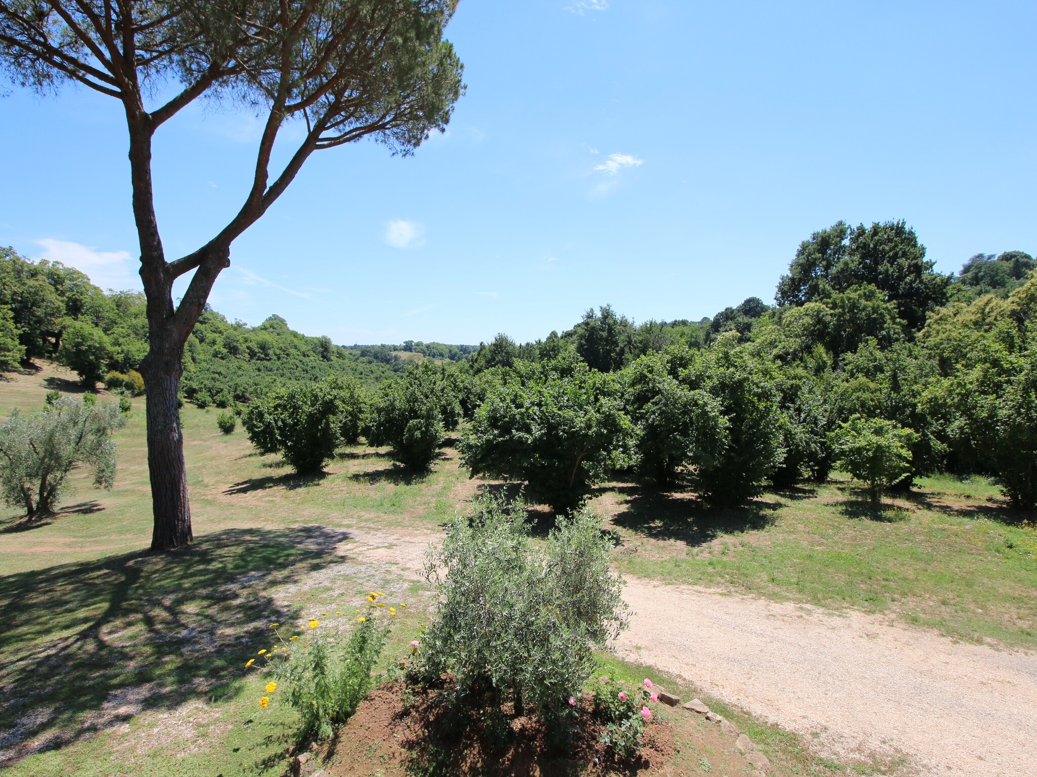 Casa di vacanze Villa Flavia