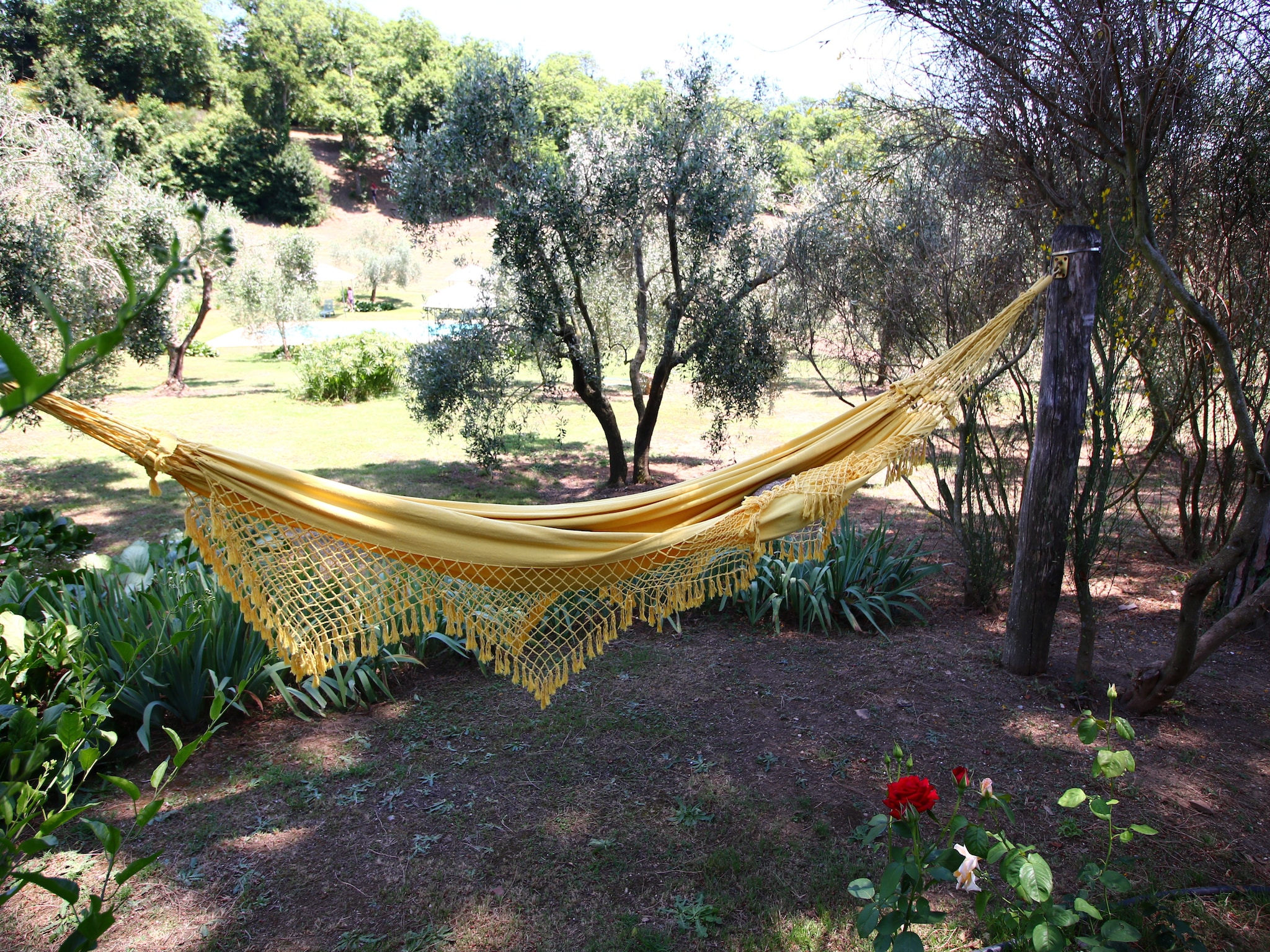 Casa di vacanze Villa Flavia