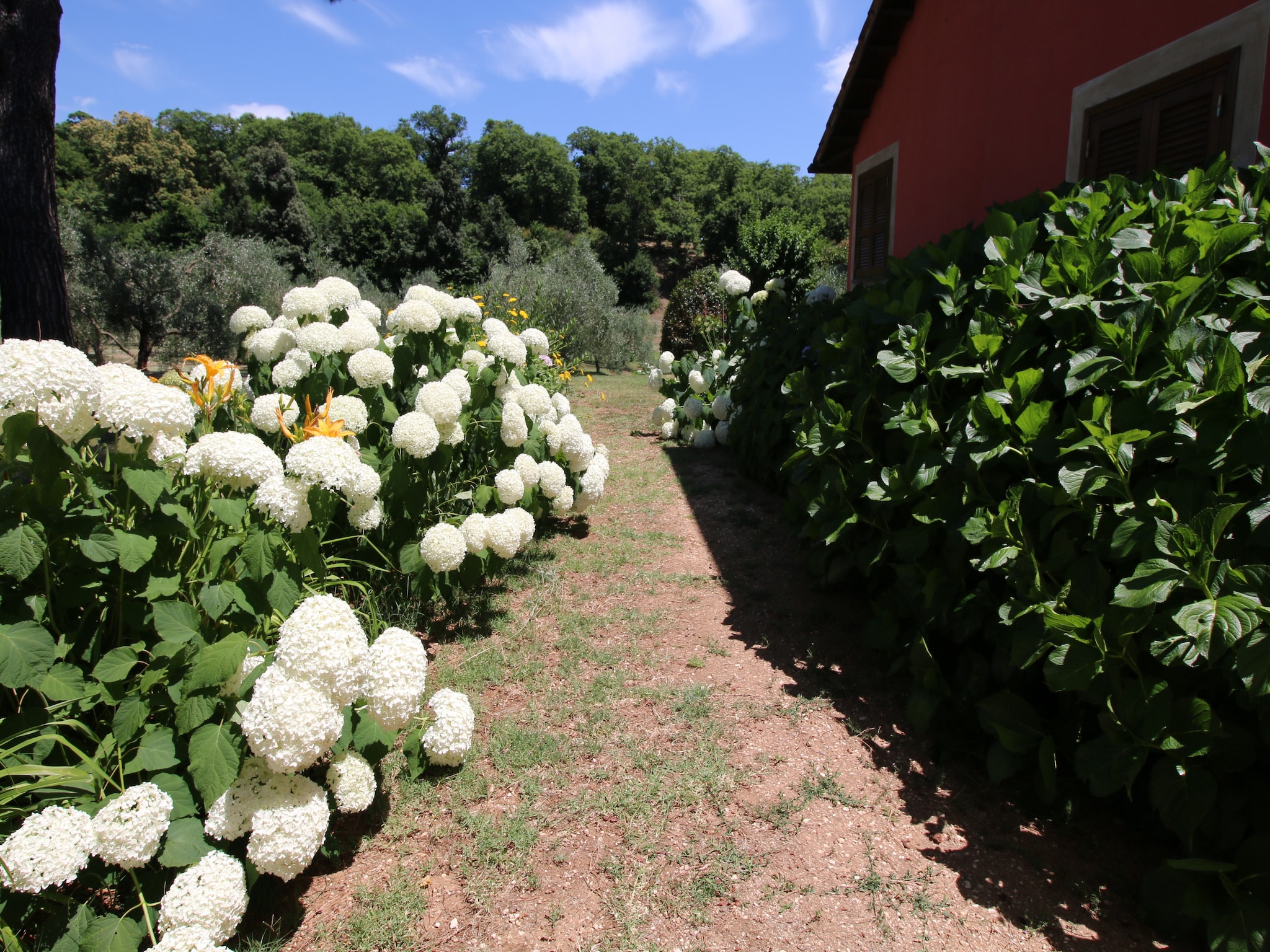 Casa di vacanze Villa Flavia