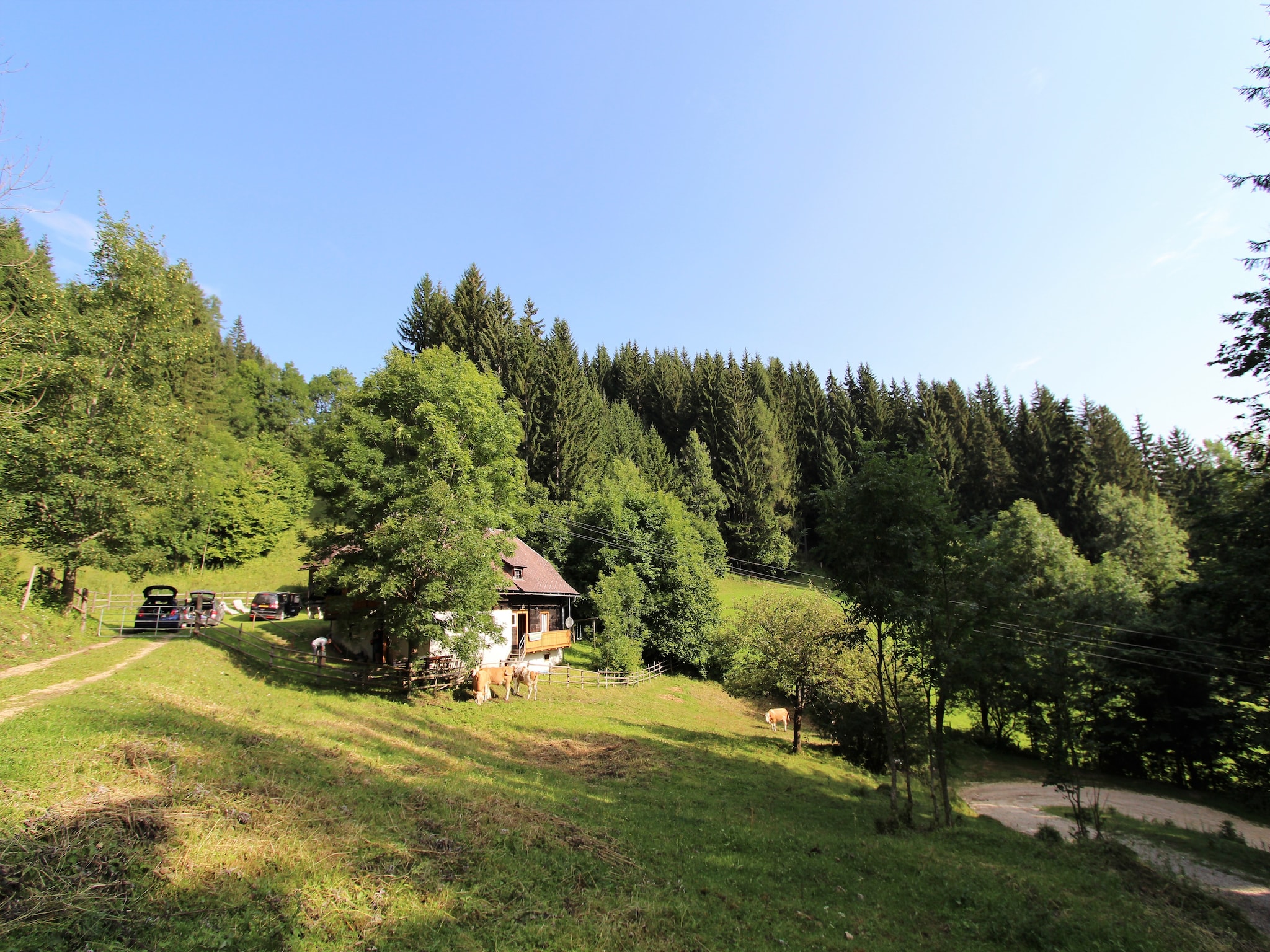 Ferienhaus Brentlhütte