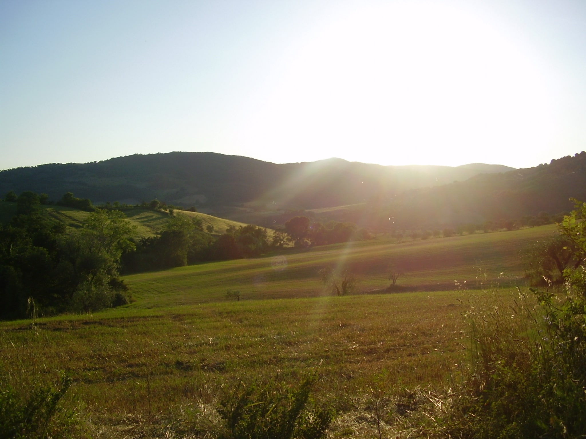   Il Camino