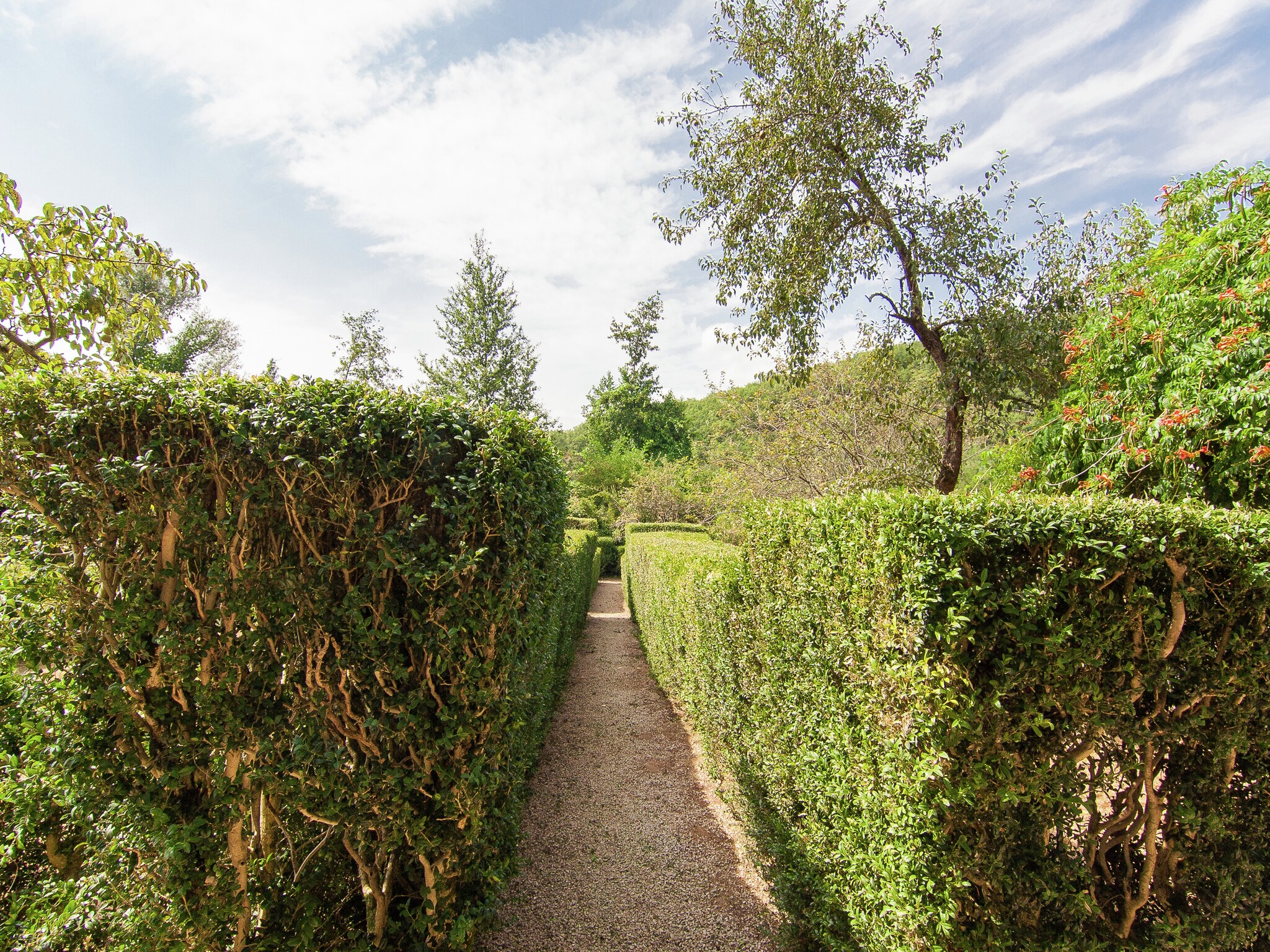 Vacation home Belle Demeure Ribot 11 Pers