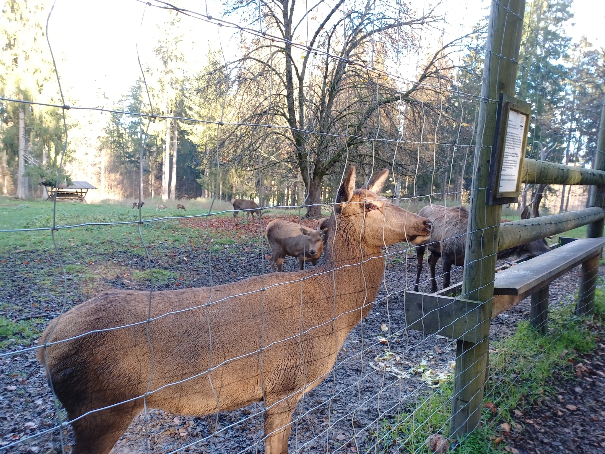   Am Hochfels
